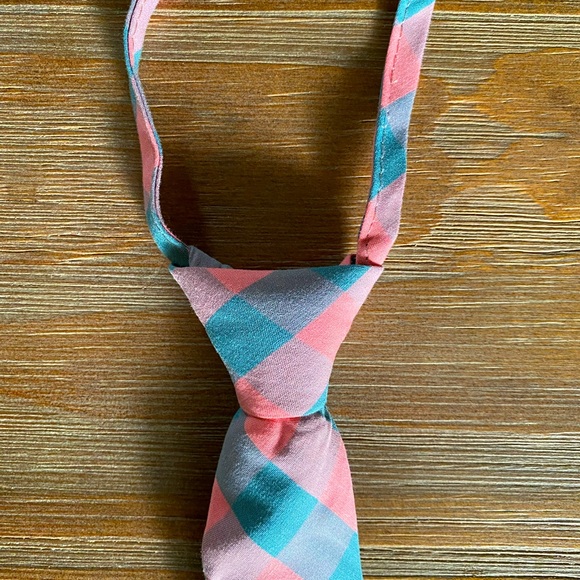 Kids J.Crew & H&M Ties Bundle - Picture 2 of 7